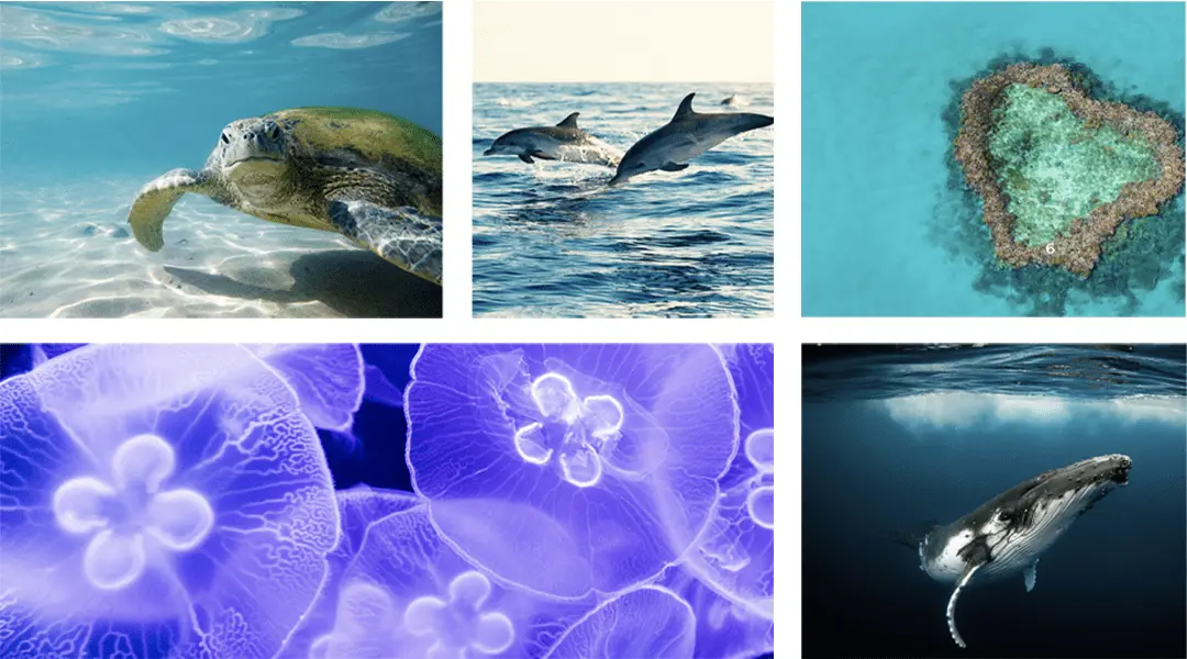 CPV_Plastic_3.Half-width-image_1080x600 plastic neutral