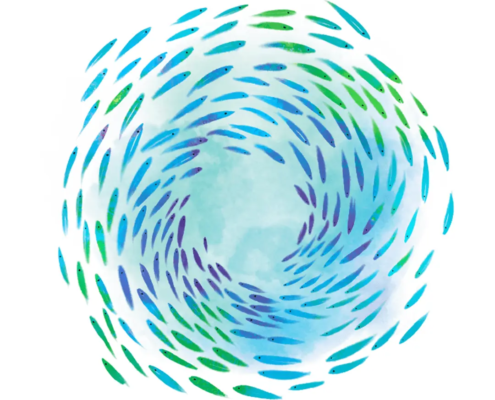 plastic neutral shoal