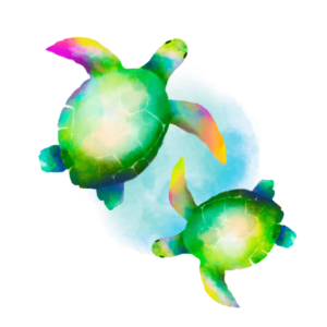 plastic neutral turtles