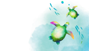 plastic neutral turtles